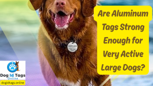 Are Aluminum Tags Strong Enough for Very Active Large Dogs