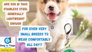 Are Dog ID Tags Stainless Steel Generally Lightweight Enough for Even Very Small Breeds to Wear Comfortably All Day