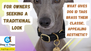 For owners seeking a traditional look, what gives dog id tags brass their classic, appealing aesthetic