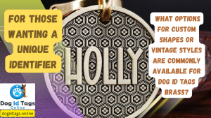 For those wanting a unique identifier, what options for custom shapes or vintage styles are commonly available for dog id tags brass