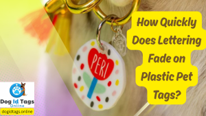 How Quickly Does Lettering Fade on Plastic Pet Tags