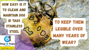 How easy is it to clean and maintain dog id tags Stainless Steel to keep them legible over many years of wear