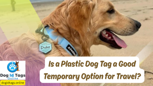 Is a Plastic Dog Tag a Good Temporary Option for Travel
