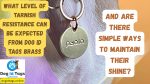 What level of tarnish resistance can be expected from dog id tags brass, and are there simple ways to maintain their shine