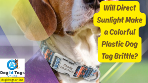 Will Direct Sunlight Make a Colorful Plastic Dog Tag Brittle