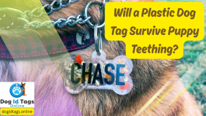 Will a Plastic Dog Tag Survive Puppy Teething