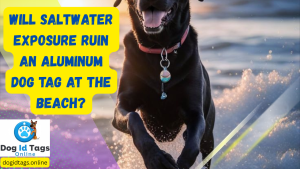 Will saltwater exposure ruin an Aluminum Dog Tag at the Beach