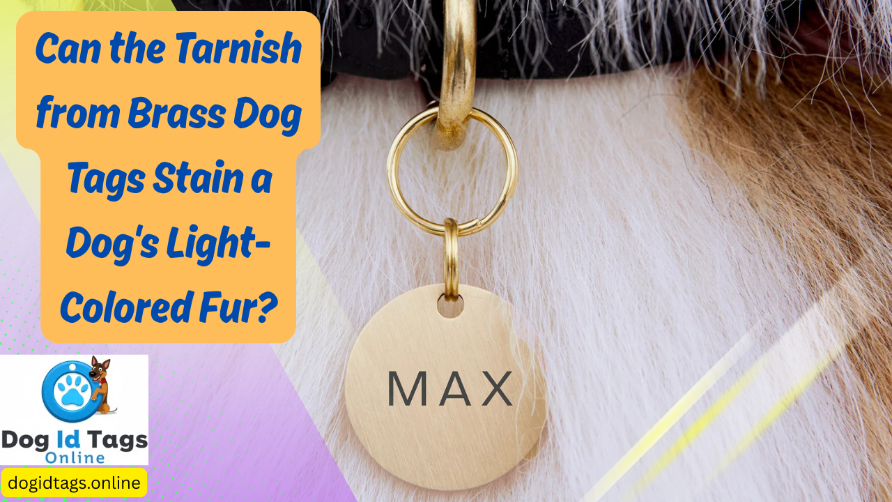 Can the Tarnish from Brass Dog Tags Stain a Dog's Light-Colored Fur