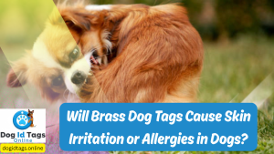 Will Brass Dog Tags Cause Skin Irritation or Allergies in Dogs